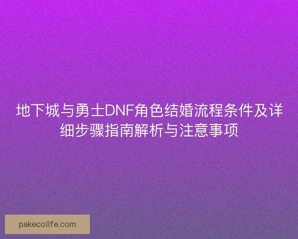 地下城与勇士DNF角色结婚流程条件及详细步骤指南解析与注意事项