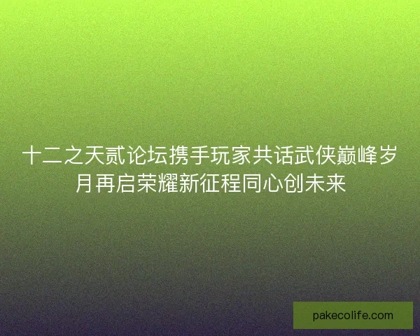 十二之天贰论坛携手玩家共话武侠巅峰岁月再启荣耀新征程同心创未来