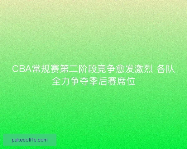 CBA常规赛第二阶段竞争愈发激烈 各队全力争夺季后赛席位 CBA常规赛第二阶段竞争愈发激烈 各队全力争夺季后赛席位