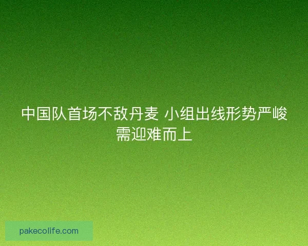 中国队首场不敌丹麦 小组出线形势严峻需迎难而上 中国队首场不敌丹麦 小组出线形势严峻需迎难而上